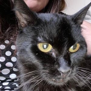 Meet your Posher, Kamron